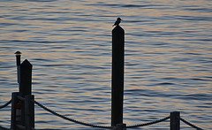 8114345955_6f744392b9_m