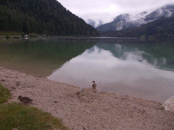 Erlaufsee1